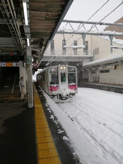 1575427047764.jpg