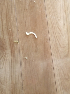 1577752966698.jpg